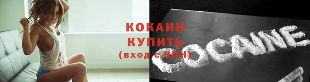 дживик Верея