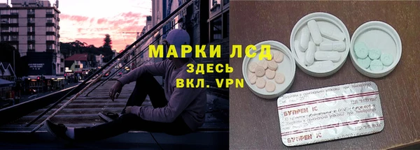 дживик Верея