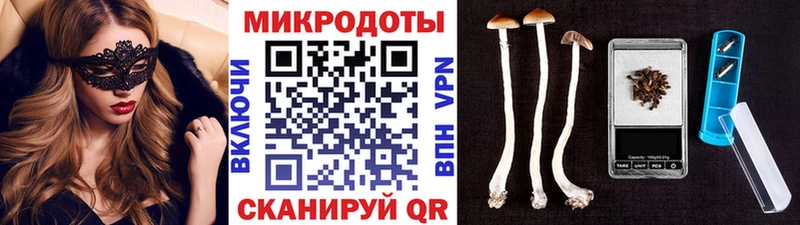 Галлюциногенные грибы мухоморы  дарнет шоп  Химки 